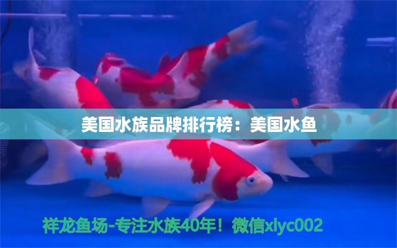 美國水族品牌排行榜：美國水魚