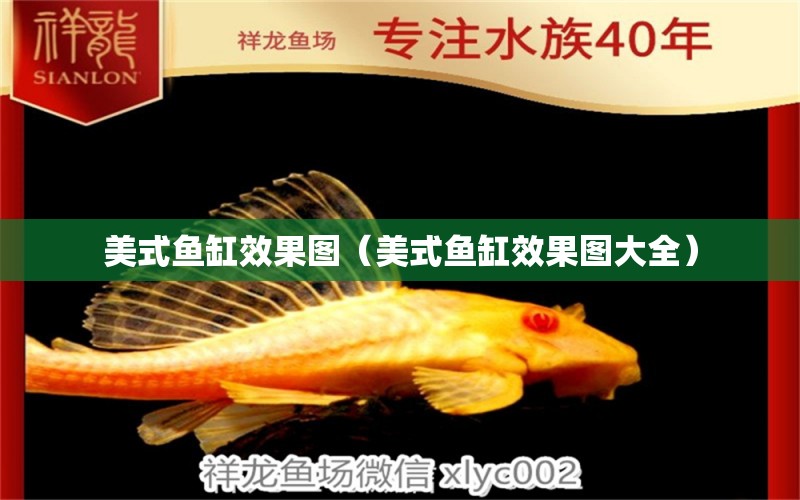 美式魚(yú)缸效果圖（美式魚(yú)缸效果圖大全） 祥龍水族醫(yī)院