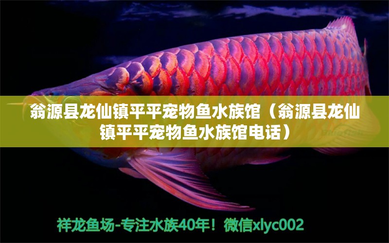 翁源縣龍仙鎮(zhèn)平平寵物魚(yú)水族館（翁源縣龍仙鎮(zhèn)平平寵物魚(yú)水族館電話）