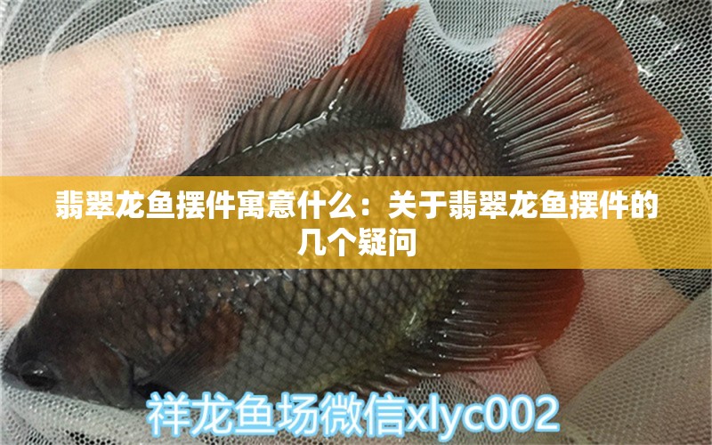 翡翠龍魚(yú)擺件寓意什么：關(guān)于翡翠龍魚(yú)擺件的幾個(gè)疑問(wèn) 水族問(wèn)答