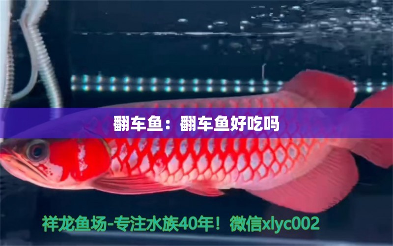 翻車魚：翻車魚好吃嗎