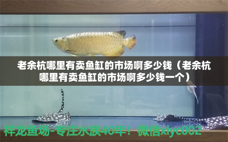 老余杭哪里有賣魚缸的市場啊多少錢（老余杭哪里有賣魚缸的市場啊多少錢一個(gè)）