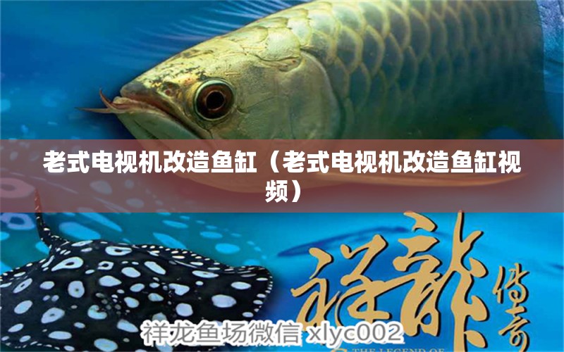 老式電視機改造魚缸（老式電視機改造魚缸視頻）