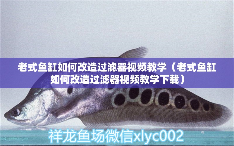 老式魚缸如何改造過濾器視頻教學（老式魚缸如何改造過濾器視頻教學下載）