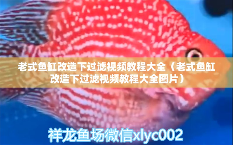 老式魚缸改造下過濾視頻教程大全（老式魚缸改造下過濾視頻教程大全圖片）