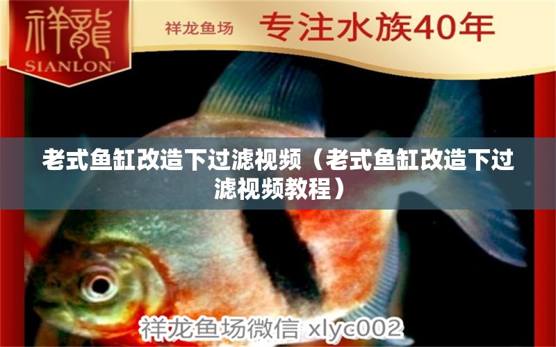 老式魚缸改造下過濾視頻（老式魚缸改造下過濾視頻教程）