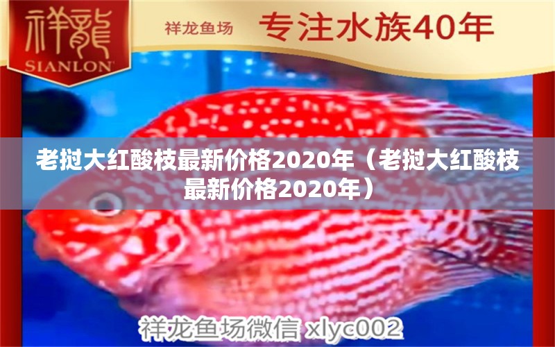 老撾大紅酸枝最新價格2020年（老撾大紅酸枝最新價格2020年）