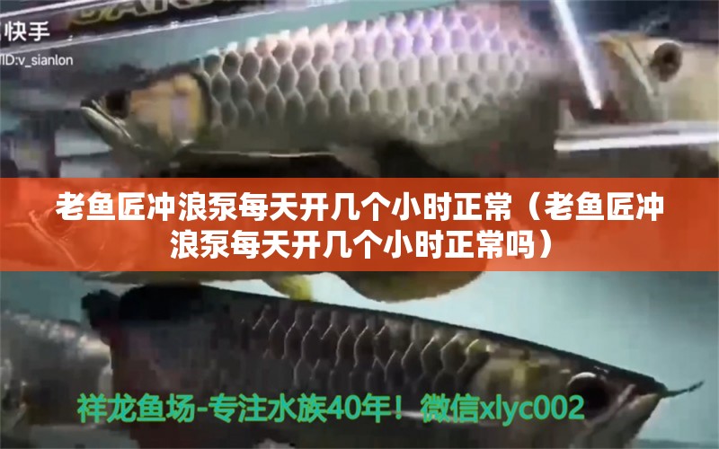 老魚匠沖浪泵每天開幾個(gè)小時(shí)正常（老魚匠沖浪泵每天開幾個(gè)小時(shí)正常嗎）