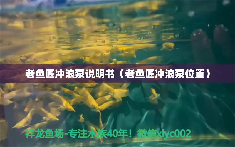 老魚匠沖浪泵說明書（老魚匠沖浪泵位置）