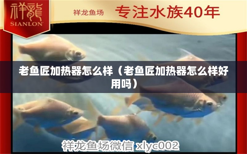 老魚匠加熱器怎么樣（老魚匠加熱器怎么樣好用嗎） 老魚匠 第2張