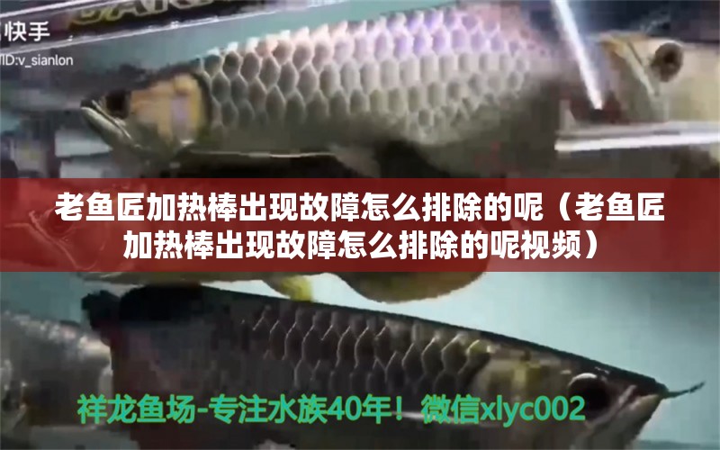 老魚匠加熱棒出現(xiàn)故障怎么排除的呢（老魚匠加熱棒出現(xiàn)故障怎么排除的呢視頻）