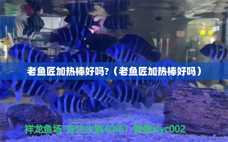 老魚(yú)匠加熱棒好嗎?（老魚(yú)匠加熱棒好嗎）