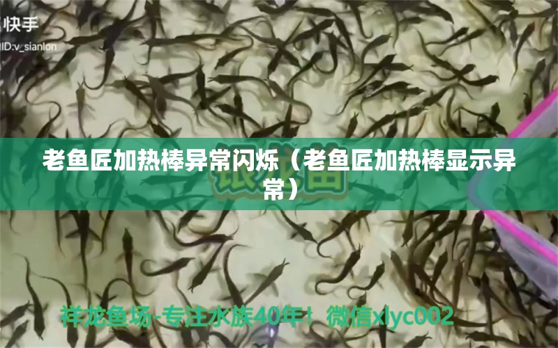 老魚(yú)匠加熱棒異常閃爍（老魚(yú)匠加熱棒顯示異常） 老魚(yú)匠