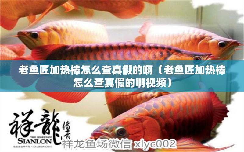 老魚(yú)匠加熱棒怎么查真假的?。ɡ萧~(yú)匠加熱棒怎么查真假的啊視頻）