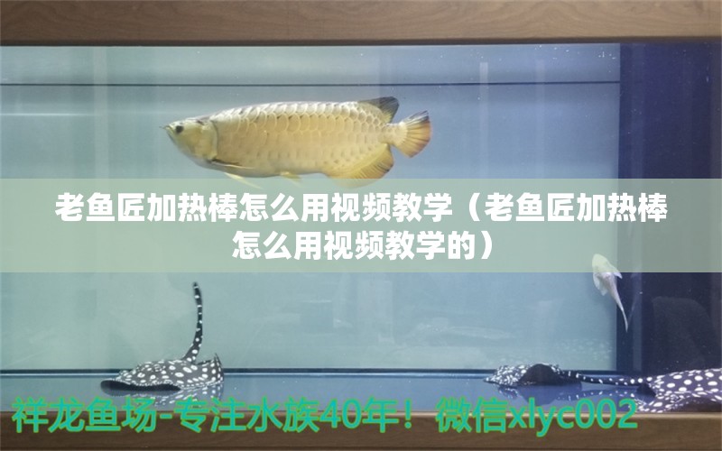 老魚匠加熱棒怎么用視頻教學(xué)（老魚匠加熱棒怎么用視頻教學(xué)的）