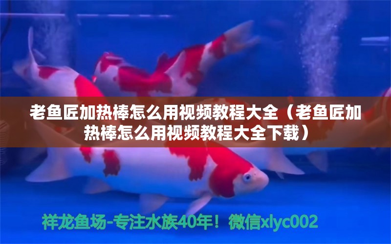 老魚匠加熱棒怎么用視頻教程大全（老魚匠加熱棒怎么用視頻教程大全下載） 老魚匠