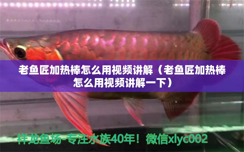 老魚匠加熱棒怎么用視頻講解（老魚匠加熱棒怎么用視頻講解一下）