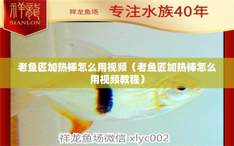 老魚匠加熱棒怎么用視頻（老魚匠加熱棒怎么用視頻教程）