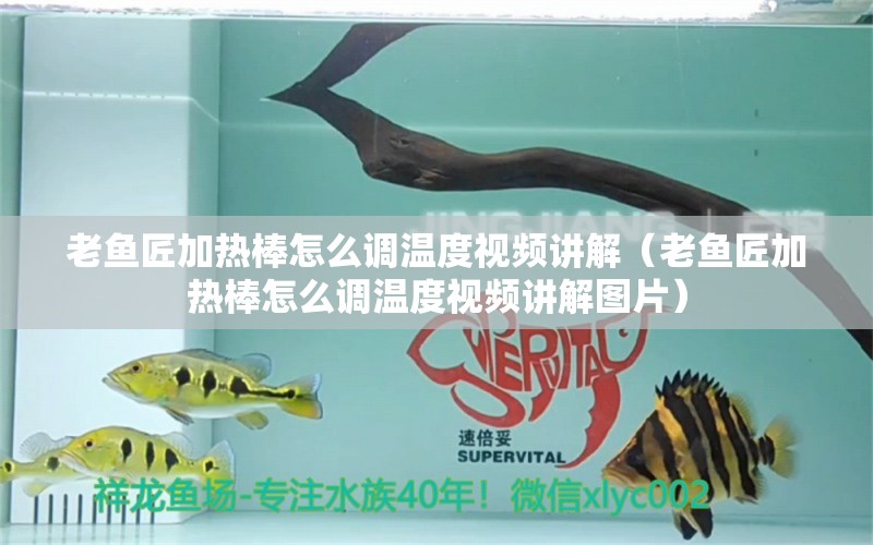 老魚匠加熱棒怎么調(diào)溫度視頻講解（老魚匠加熱棒怎么調(diào)溫度視頻講解圖片）