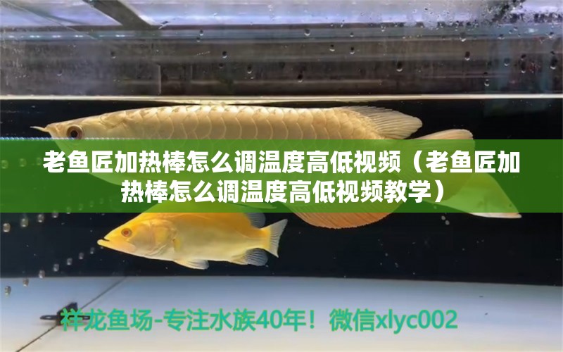 老魚匠加熱棒怎么調溫度高低視頻（老魚匠加熱棒怎么調溫度高低視頻教學）