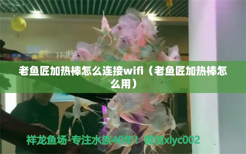 老魚(yú)匠加熱棒怎么連接wifi（老魚(yú)匠加熱棒怎么用） 老魚(yú)匠