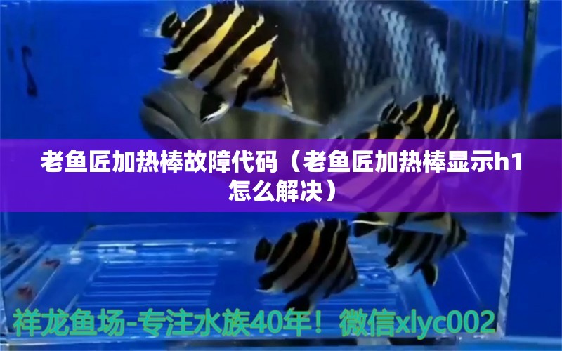 老魚匠加熱棒故障代碼（老魚匠加熱棒顯示h1怎么解決）