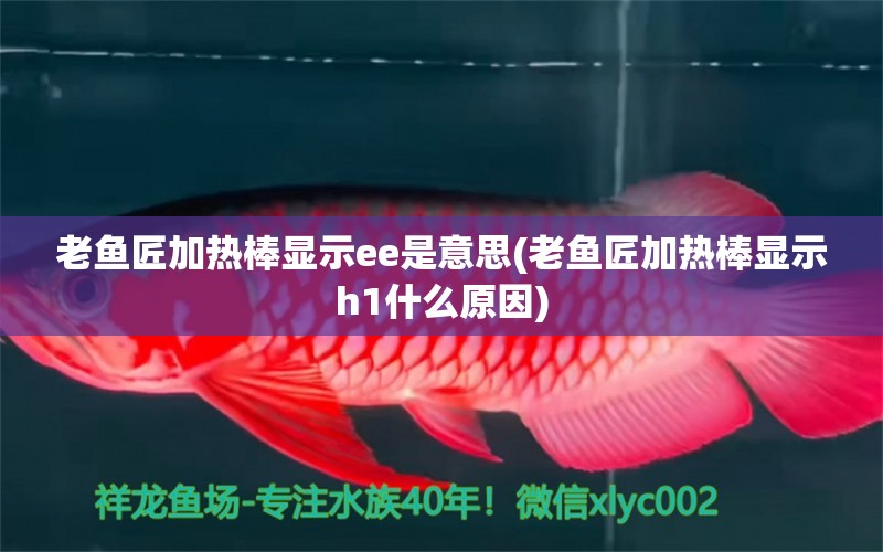 老魚(yú)匠加熱棒顯示ee是意思(老魚(yú)匠加熱棒顯示h1什么原因) 老魚(yú)匠