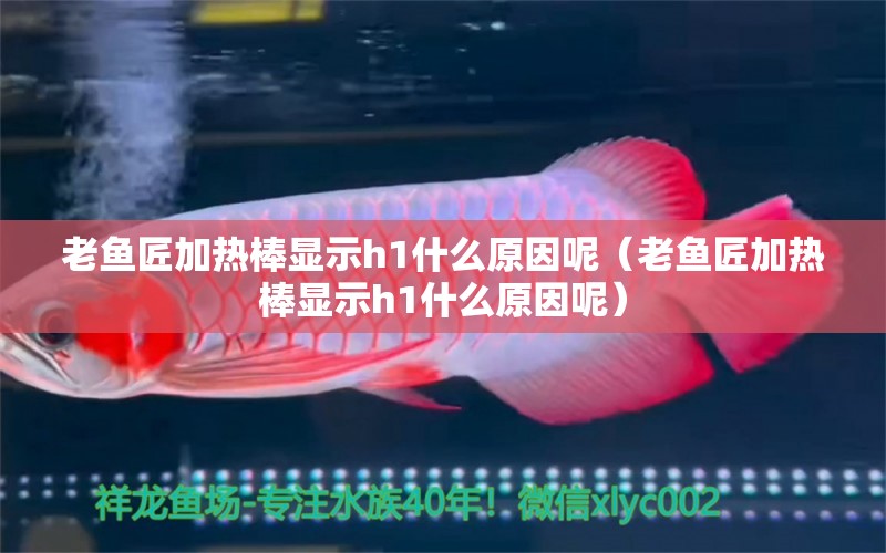 老魚匠加熱棒顯示h1什么原因呢（老魚匠加熱棒顯示h1什么原因呢）