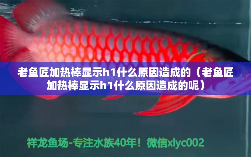 老魚匠加熱棒顯示h1什么原因造成的（老魚匠加熱棒顯示h1什么原因造成的呢） 老魚匠