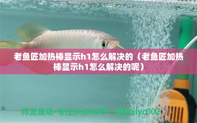 老魚匠加熱棒顯示h1怎么解決的（老魚匠加熱棒顯示h1怎么解決的呢）