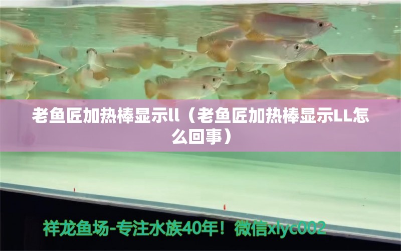 老魚匠加熱棒顯示ll（老魚匠加熱棒顯示LL怎么回事）