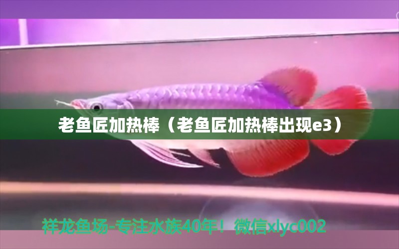 老魚(yú)匠加熱棒（老魚(yú)匠加熱棒出現(xiàn)e3） 老魚(yú)匠