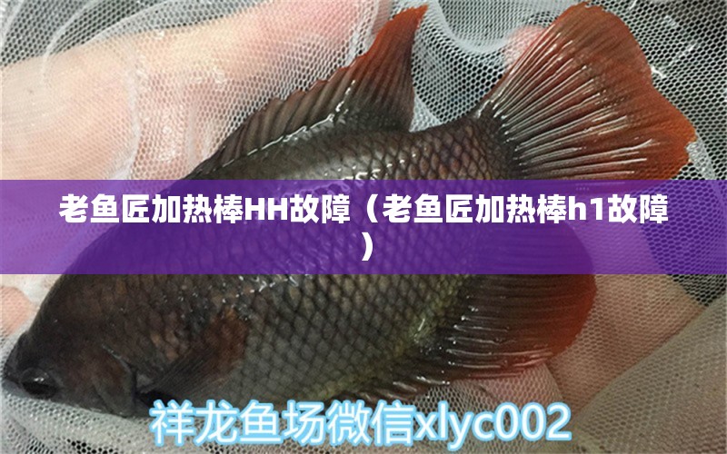 老魚匠加熱棒HH故障（老魚匠加熱棒h1故障）