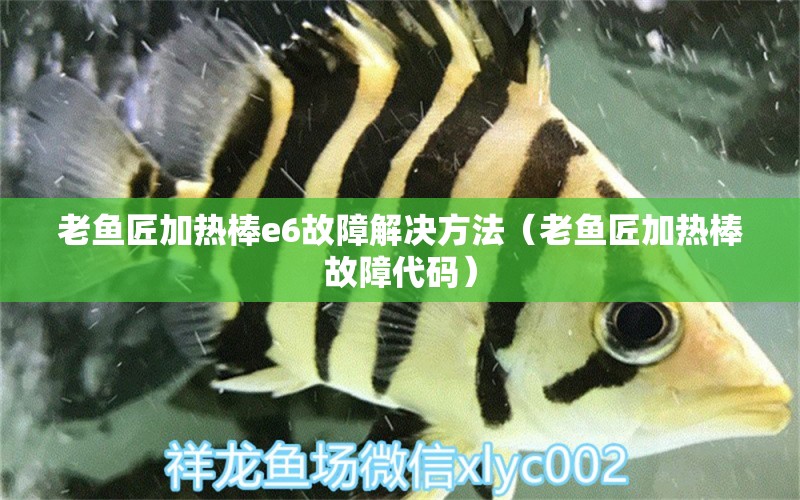 老魚匠加熱棒e6故障解決方法（老魚匠加熱棒故障代碼）