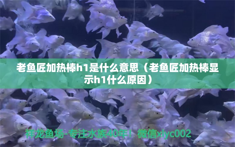 老魚匠加熱棒h1是什么意思（老魚匠加熱棒顯示h1什么原因） 老魚匠