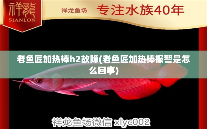 老魚匠加熱棒h2故障(老魚匠加熱棒報警是怎么回事) 老魚匠