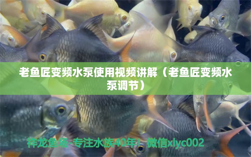 老魚匠變頻水泵使用視頻講解（老魚匠變頻水泵調(diào)節(jié)） 老魚匠