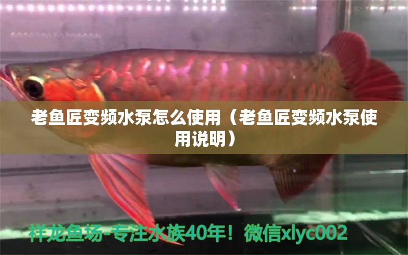 老魚匠變頻水泵怎么使用（老魚匠變頻水泵使用說明）