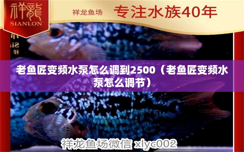 老魚匠變頻水泵怎么調(diào)到2500（老魚匠變頻水泵怎么調(diào)節(jié)）