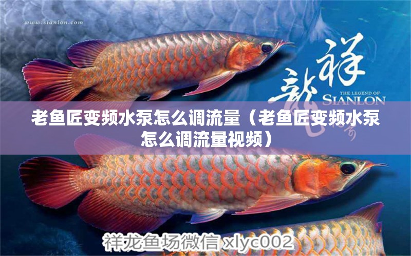 老魚匠變頻水泵怎么調(diào)流量（老魚匠變頻水泵怎么調(diào)流量視頻）