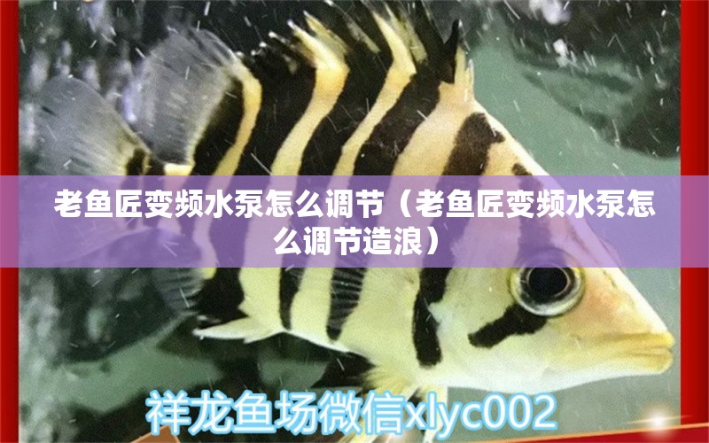 老魚匠變頻水泵怎么調(diào)節(jié)（老魚匠變頻水泵怎么調(diào)節(jié)造浪） 老魚匠