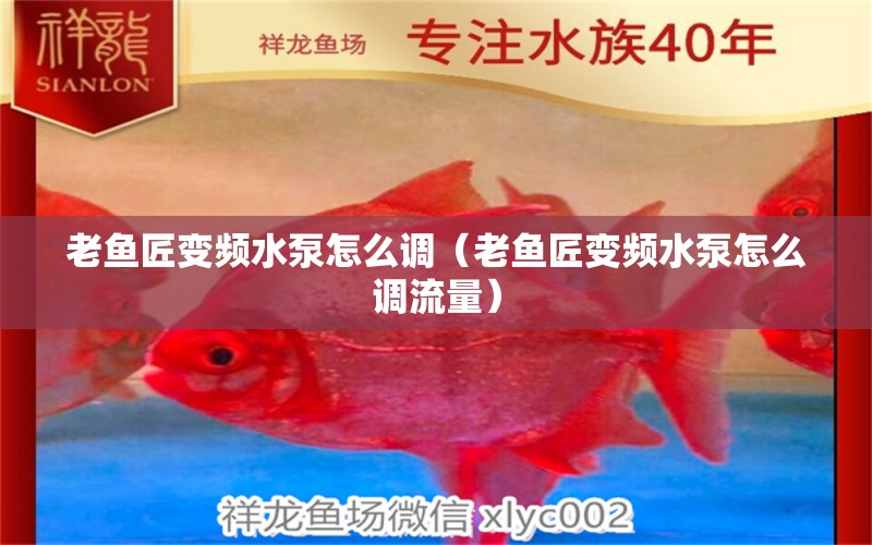 老魚匠變頻水泵怎么調(diào)（老魚匠變頻水泵怎么調(diào)流量）