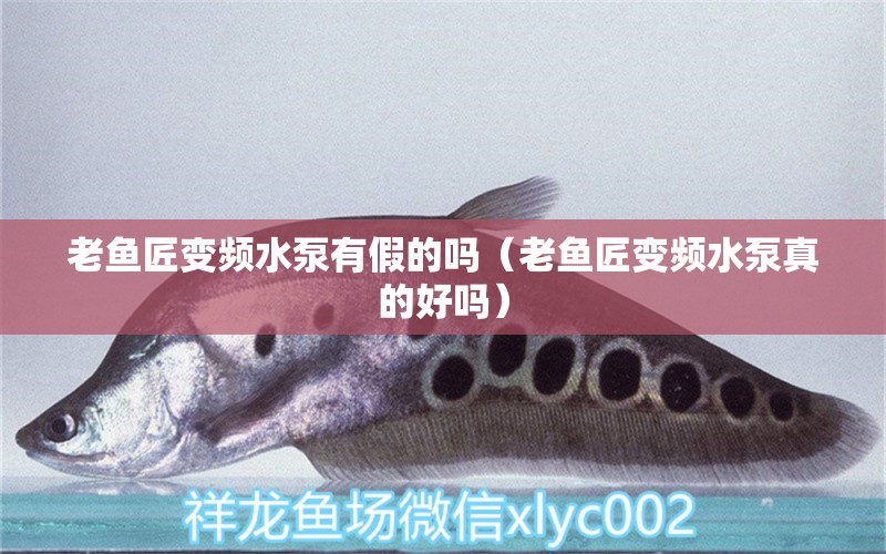 老魚匠變頻水泵有假的嗎（老魚匠變頻水泵真的好嗎）