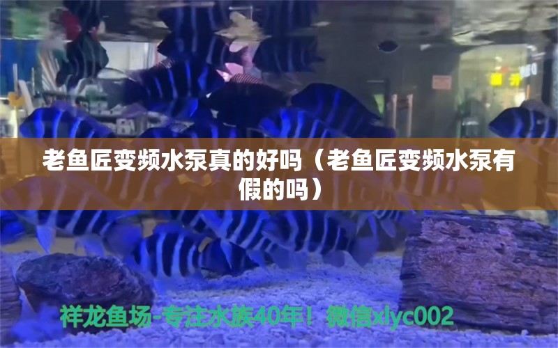 老魚匠變頻水泵真的好嗎（老魚匠變頻水泵有假的嗎）