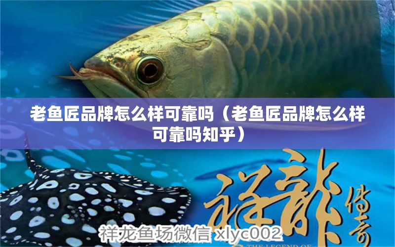 老魚匠品牌怎么樣可靠嗎（老魚匠品牌怎么樣可靠嗎知乎）