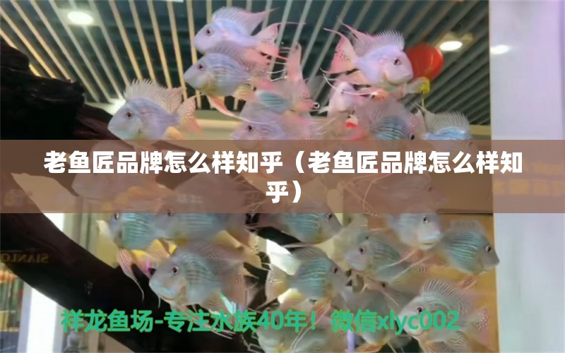 老魚(yú)匠品牌怎么樣知乎（老魚(yú)匠品牌怎么樣知乎）