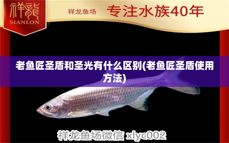 老魚匠圣盾和圣光有什么區(qū)別(老魚匠圣盾使用方法) 老魚匠 第1張