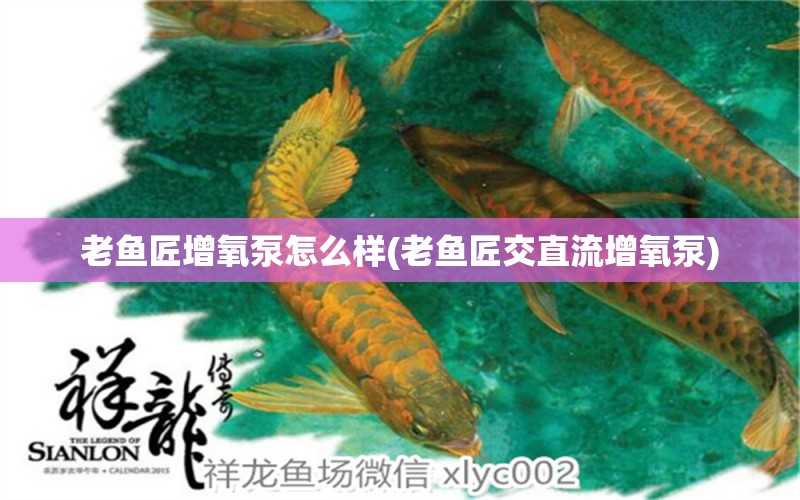 老魚匠增氧泵怎么樣(老魚匠交直流增氧泵) 老魚匠 第1張