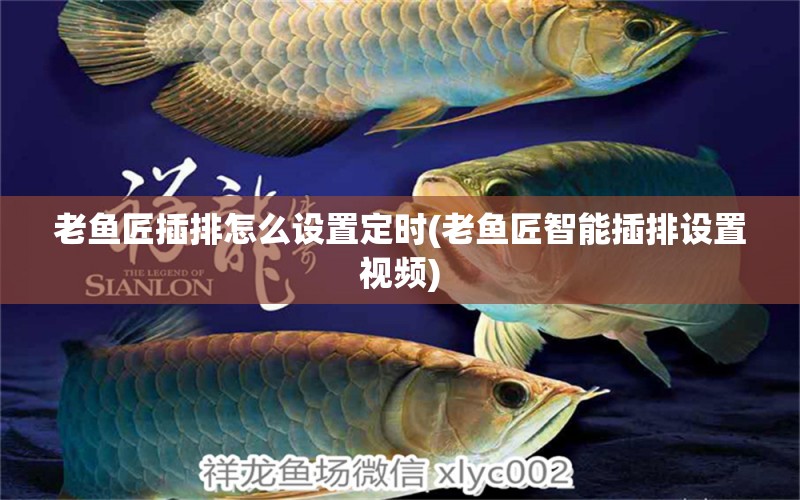 老魚匠插排怎么設(shè)置定時(老魚匠智能插排設(shè)置視頻) 老魚匠