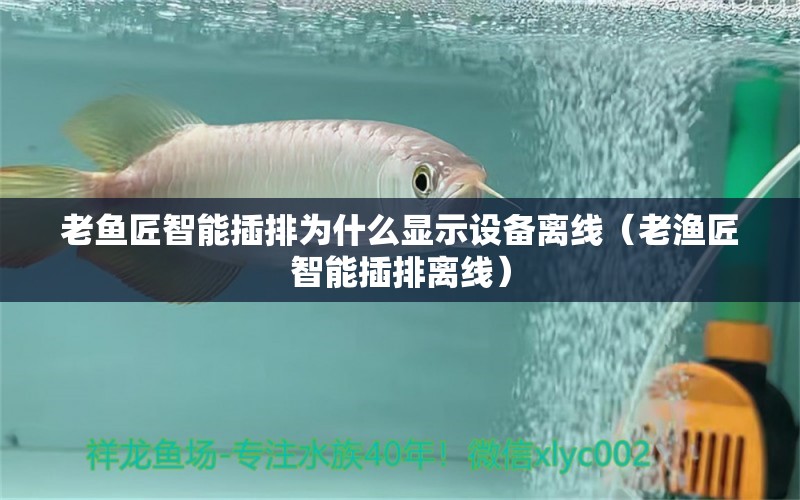 老魚匠智能插排為什么顯示設(shè)備離線（老漁匠智能插排離線）